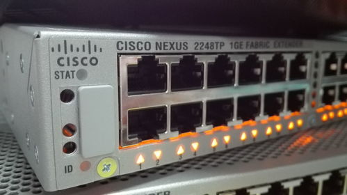 網絡工程畢業生的職業圖鑒 他們在哪里，后悔了嗎？